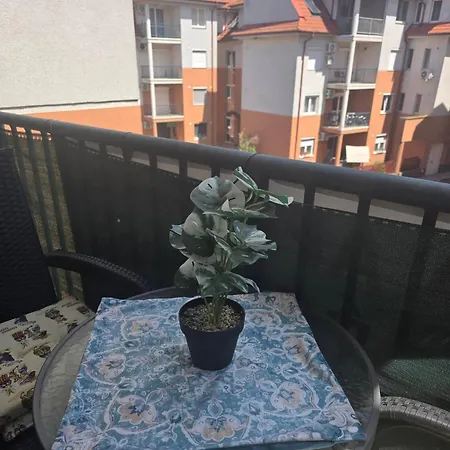 Jeva * Hajdúszoboszló