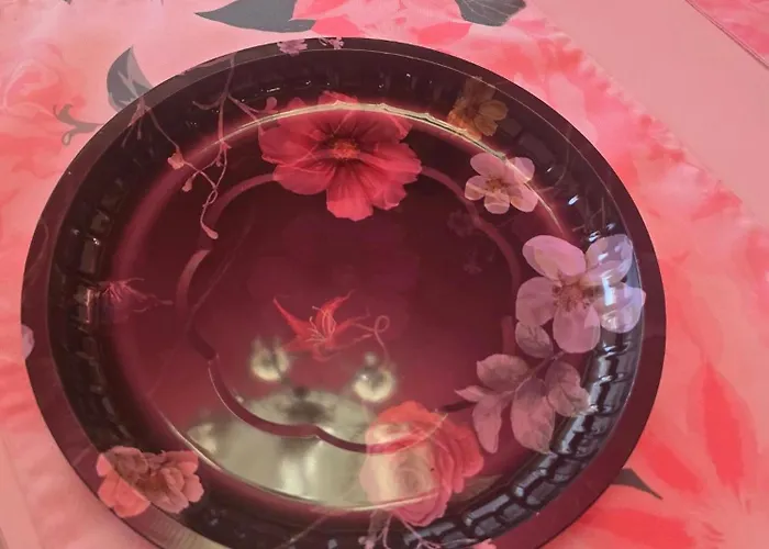 Evita Apartman Hajduszoboszlo Szeptember 1 - Majus 31 Hajdúszoboszló