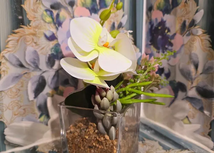 Evita Apartman Hajduszoboszlo Szeptember 1 - Majus 31 * Hajdúszoboszló